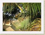 img_0236 * 2816 x 2112 * (3.51MB)