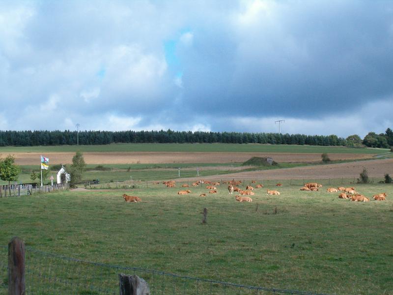 HPIM1363.JPG