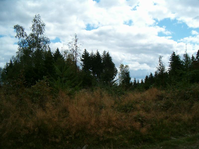 HPIM1371.JPG