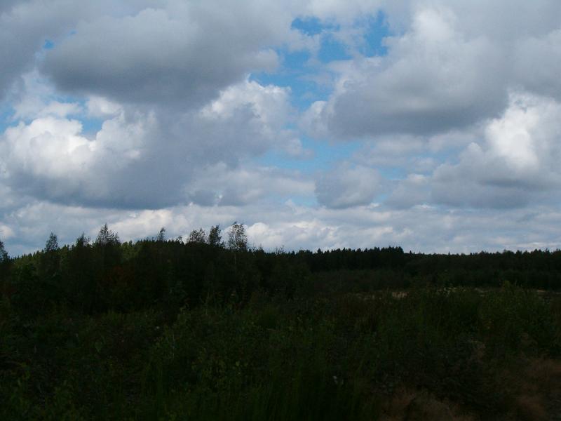 HPIM1374.JPG